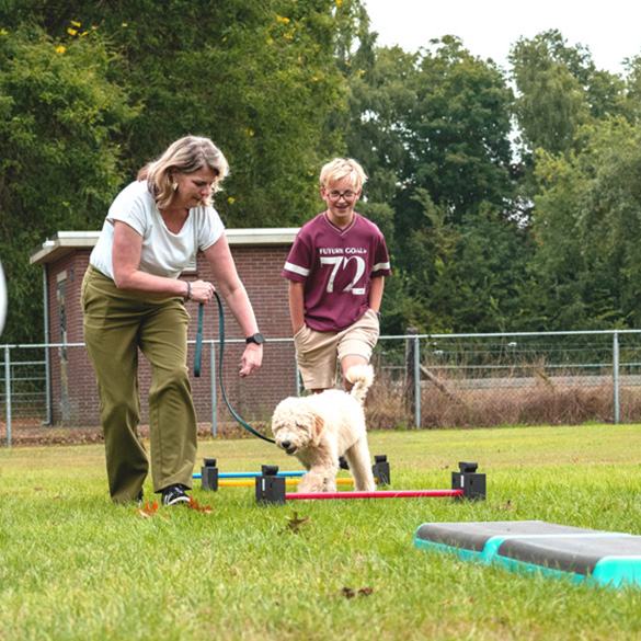 DeLijn_Raalte_Home_Socialehond DeLijn Raalte Home Socialehond